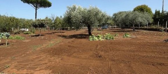 4 bedrooms House in Zagarolo, Italy No. 341778 38