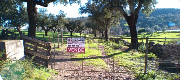 4 غرف نوم منزل في Alegrete, Portugal رقم 160156 3