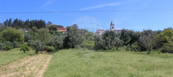 5 chambres Maison à Penela, Portugal No. 179487 13