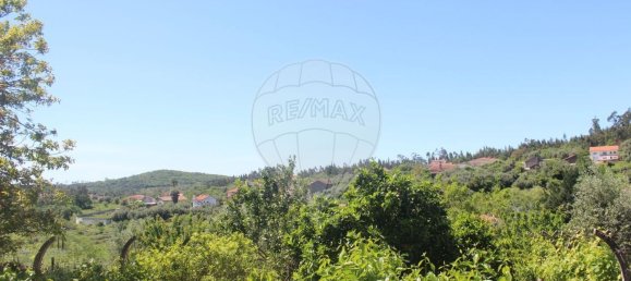 5 chambres Maison à Penela, Portugal No. 179487 9