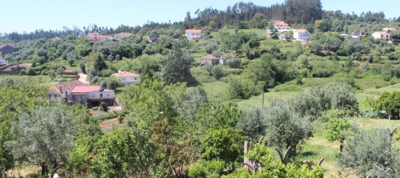 5 chambres Maison à Penela, Portugal No. 179487 8