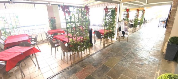 Commercial property in Algorfa, Spain No. 189182 19