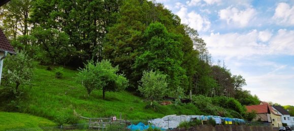 Terrain à Kusel, Germany No. 311954 4