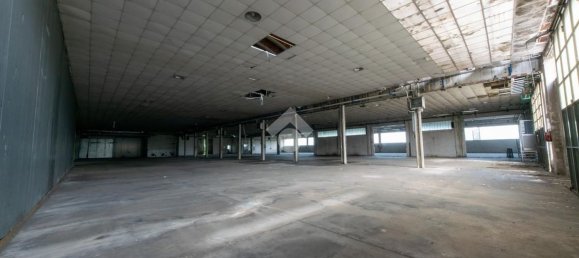 3065m² Warehouse in San Giorgio Monferrato, Italy No. 283453 14