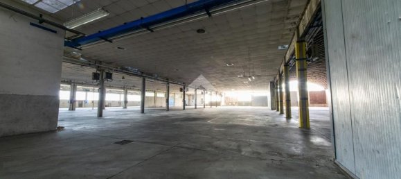 3065m² Warehouse in San Giorgio Monferrato, Italy No. 283453 12
