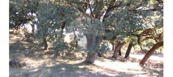 3 Schlafzimmer Haus in Abiul, Portugal, Nr. 25783 4