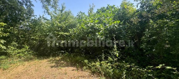 1 bedroom House in Palombaro, Italy No. 291254 24