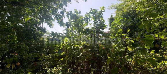 1 bedroom House in Palombaro, Italy No. 291254 25