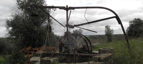 1 bedroom House in Torres Novas, Portugal No. 21680 21