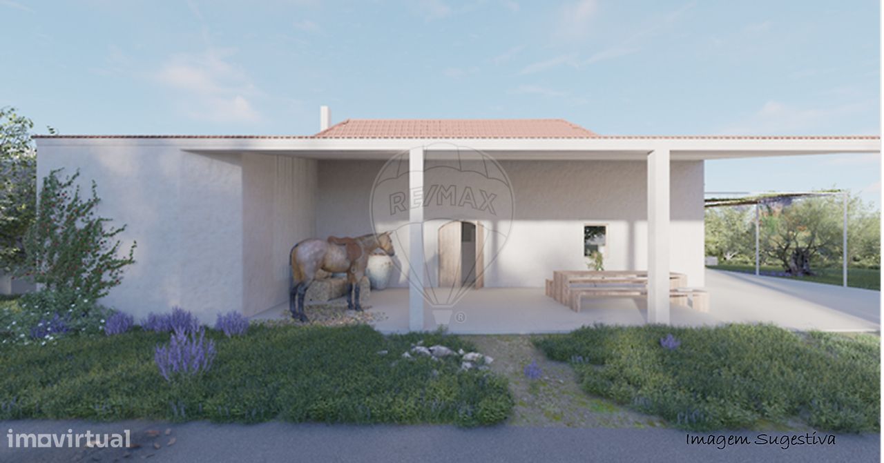 1 bedroom House in Torres Novas, Portugal No. 21680