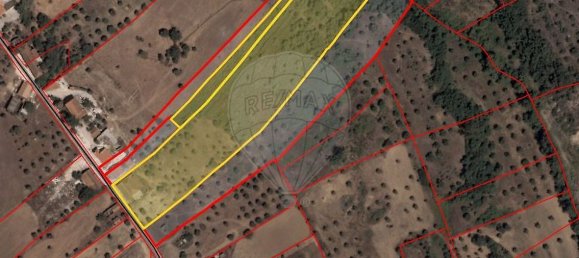 1 bedroom House in Torres Novas, Portugal No. 21680 25