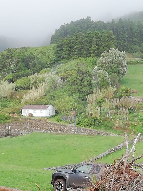 3 bedrooms House in Velas, Portugal No. 48239