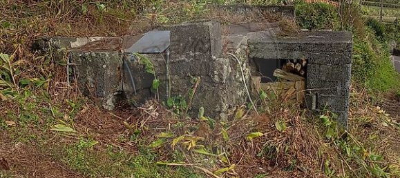 3 bedrooms House in Velas, Portugal No. 48239 13