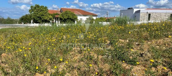 قطعة أرض في Santarem, Portugal 390متر مربع رقم 69418 6