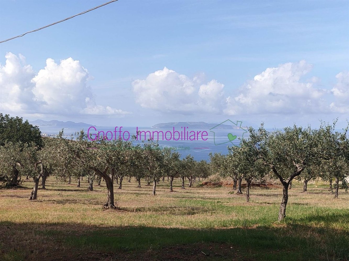 10240m² Land in Erice, Italy No. 108064