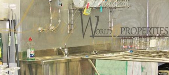 Коммерческая недвижимость с 1 комнатой в Адехе, Испания № 95482 7