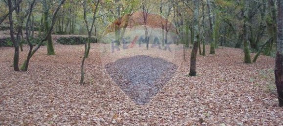  قطعة أرض في Ponte da Barca, Portugal 2200متر مربع رقم 65518 7