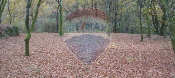  قطعة أرض في Ponte da Barca, Portugal 2200متر مربع رقم 65518 8