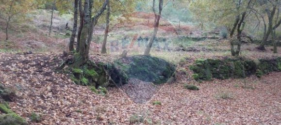  قطعة أرض في Ponte da Barca, Portugal 2200متر مربع رقم 65518 5