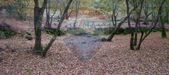  قطعة أرض في Ponte da Barca, Portugal 2200متر مربع رقم 65518 4