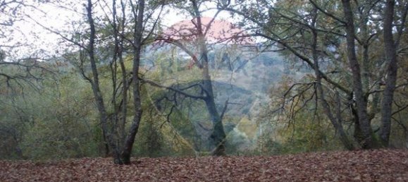  قطعة أرض في Ponte da Barca, Portugal 2200متر مربع رقم 65518 6