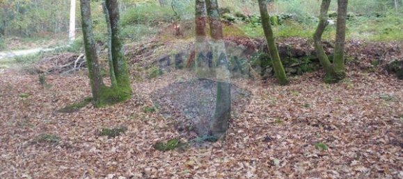  قطعة أرض في Ponte da Barca, Portugal 2200متر مربع رقم 65518 11