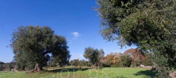 9-Zimmer Haus in Ostuni, Italy, Nr. 121585 25