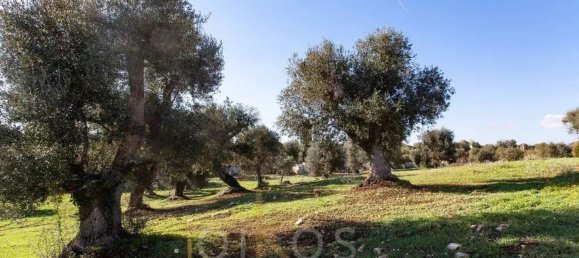 9-Zimmer Haus in Ostuni, Italy, Nr. 121585 24
