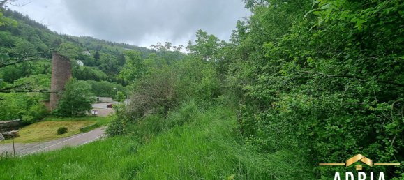 Terreno en La Bresse, France No. 62517 17