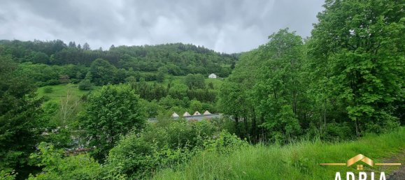 Terreno en La Bresse, France No. 62517 23