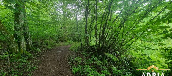 Terreno en La Bresse, France No. 62517 19