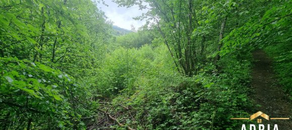 Terreno en La Bresse, France No. 62517 15