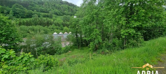 Terreno en La Bresse, France No. 62517 2