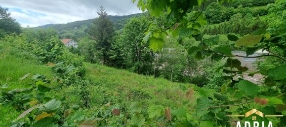 Terreno en La Bresse, France No. 62517 4