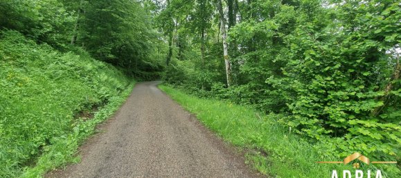 Terreno en La Bresse, France No. 62517 13