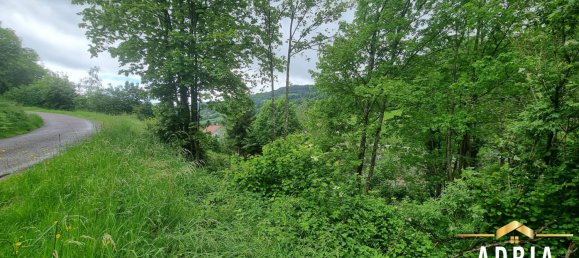 Terreno en La Bresse, France No. 62517 3