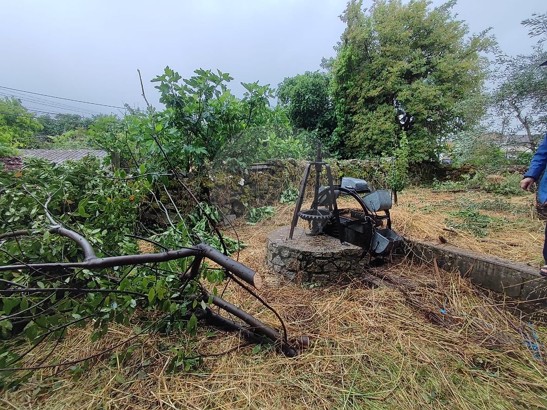4 Schlafzimmer Haus in Nave, Portugal, Nr. 20817