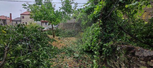 4 Schlafzimmer Haus in Nave, Portugal, Nr. 20817 14