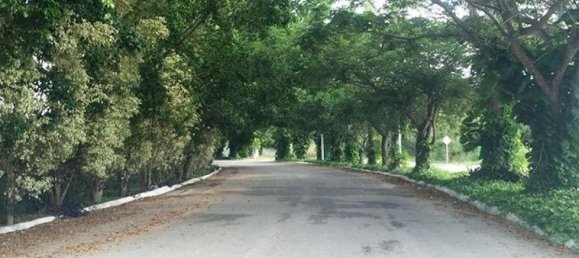 Terreno em Merida, Mexico N.º 116347 2