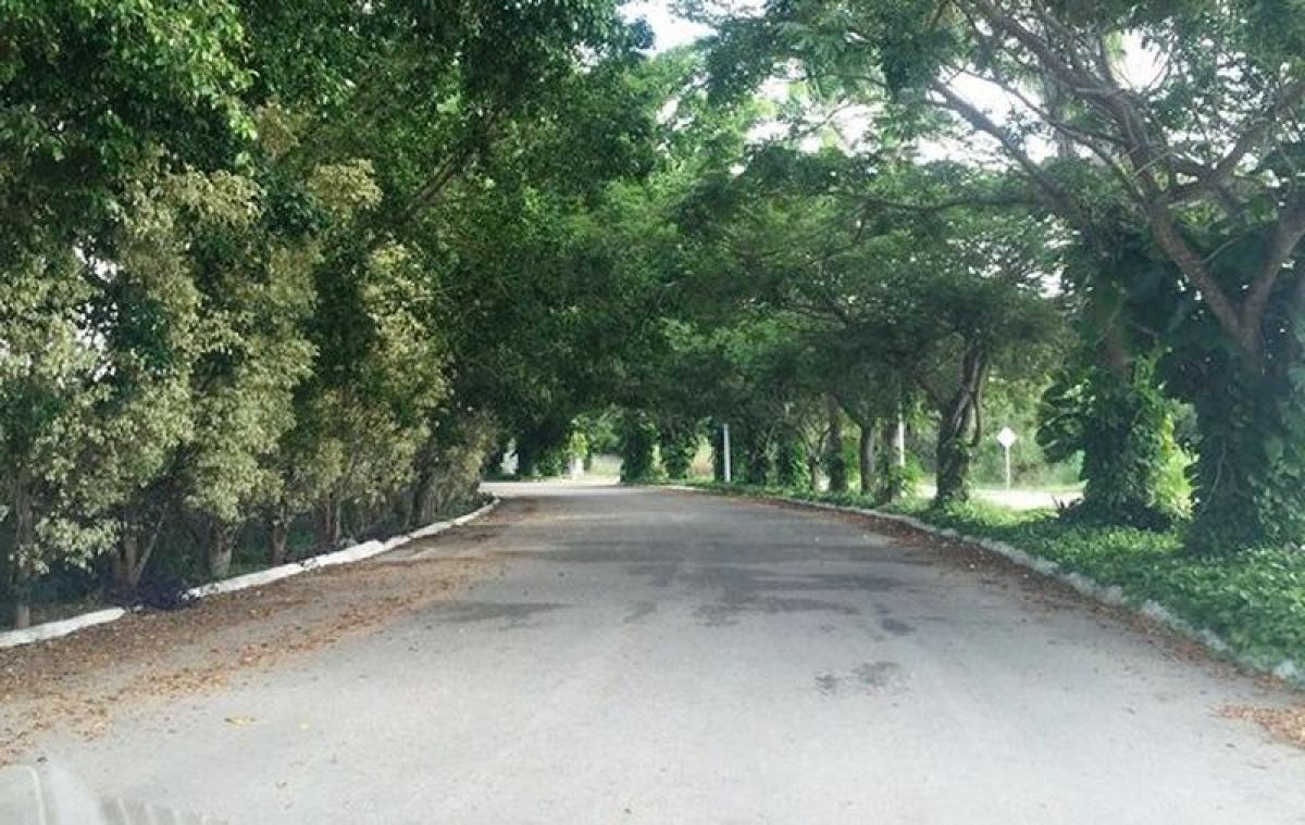 Terreno em Merida, Mexico N.º 116347