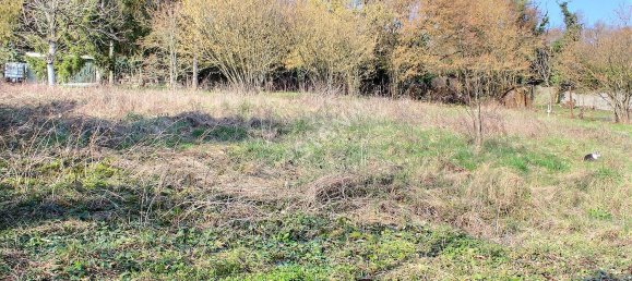 Casa de 5 dormitorios en Verdun, France No. 66709 17