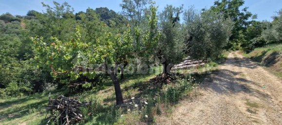 Terreno en Montesilvano, Italy 3400 m² No. 343617 8