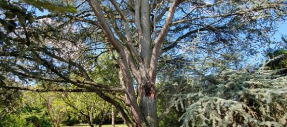 4 Schlafzimmer Haus in Chateauroux, France, Nr. 230663 12