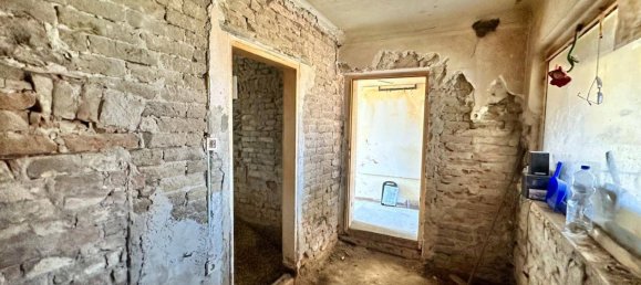 Studio in Hohenau an der March, Austria No. 133582 5