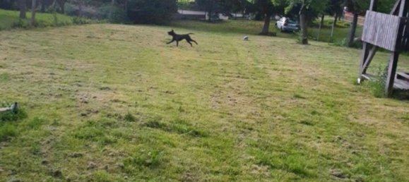 Casa de 5 habitaciónes en Gotha, Germany No. 282902 5