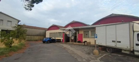 180m² Warehouse in Campi Bisenzio, Italy No. 340844 5