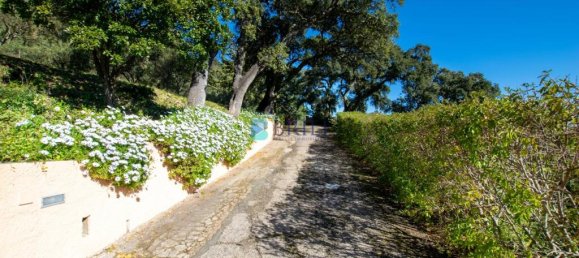 6 Schlafzimmer Villa in Luras, Italy, Nr. 326987 47