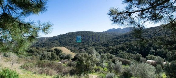 6 Schlafzimmer Villa in Luras, Italy, Nr. 326987 50