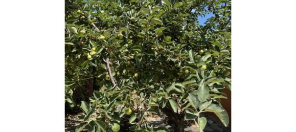 3 غرف نوم منزل في Madrid, Spain رقم 191533 29