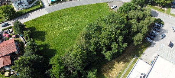 Terreno en Ried in der Riedmark, Austria 2749 m² No. 81705 4